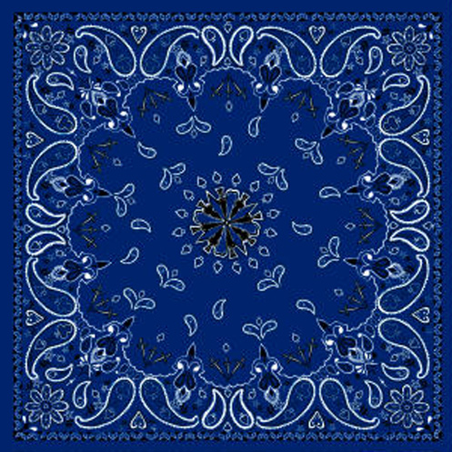 Paisley Navy, Bandanna